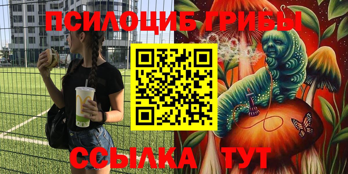 Ярославль  Галлюциногенные грибы GOLDEN TEACHER  Вход с VPN  Галлюциногенные грибы Psilocybine cubensis 